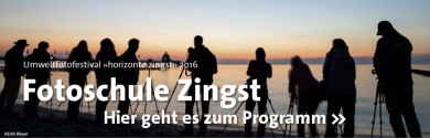 Blogeintrag: Umweltfotofestival »horizonte zingst«
Blogeintrag zu Umweltfotofestival »horizonte zingst«