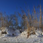 Winter Zingst