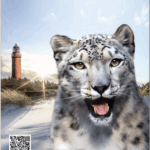 Darßer NaturfilmFestival