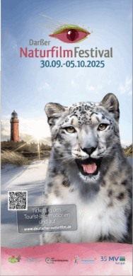 Blogeintrag zu Zingst: Darßer Naturfilmfestival 2025